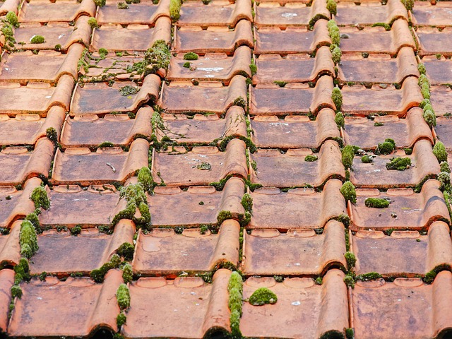 commercial roofing near me