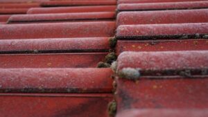 Maximize Commercial Roof Durability with Expert Contractors
