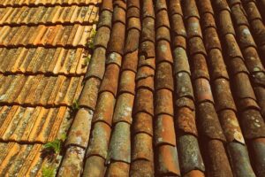 Maximizing Business Roofs: Services, Strategies, and Success Stories