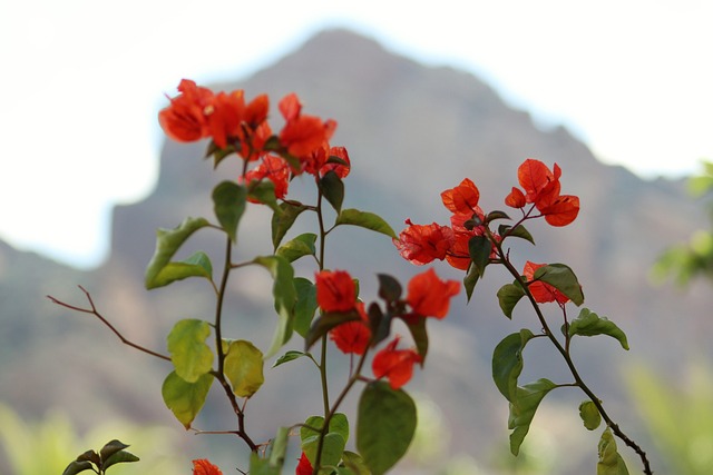 communication counseling Scottsdale