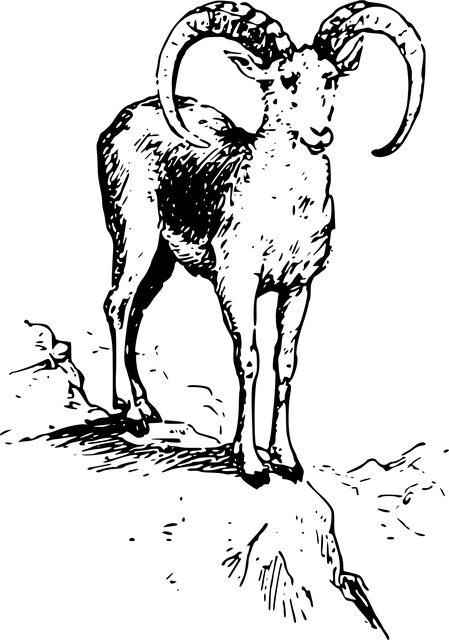 company asset mediation