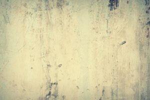 Concrete Foundation Solutions: Repair, Prevent, and Choose Wisely