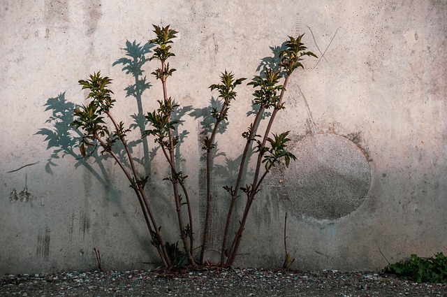 Concrete Repair