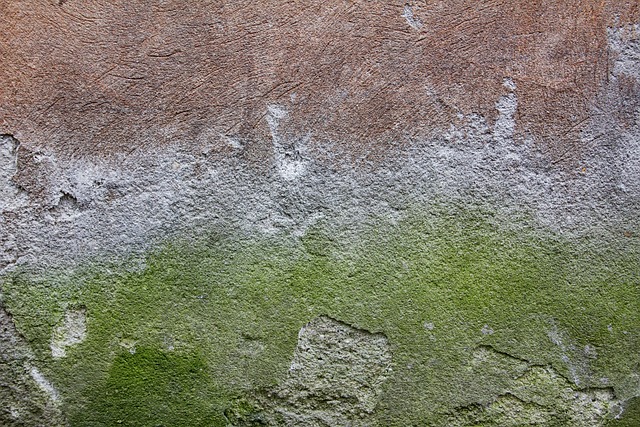 Concrete Repair
