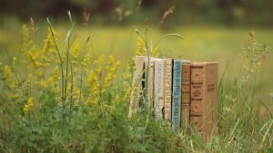 Confidential Divorce Mediation: Safeguarding Privacy for Mutual Agreements