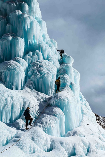 continuity risk management