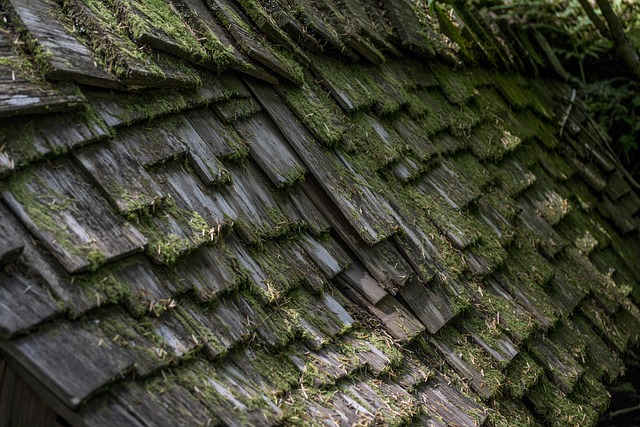 cool roofing systems