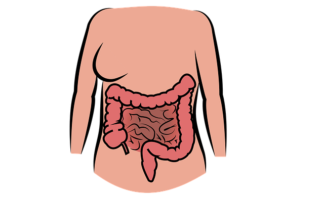 CoolSculpting Treatment for Belly Fat