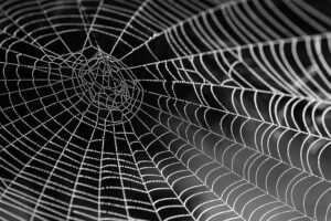 HTTPS Mastery: Optimizing SEO with Core Web Vitals and Security
