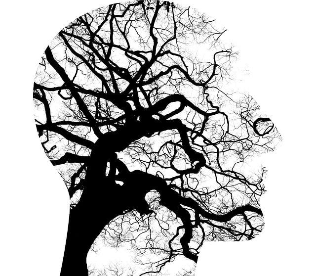 counseling services Chandler