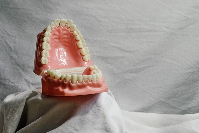 coverage for dental practices