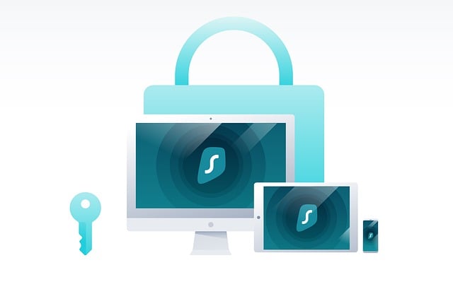 CPA cybersecurity