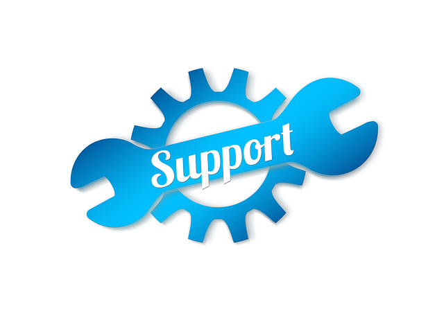 CPA firm MSP support