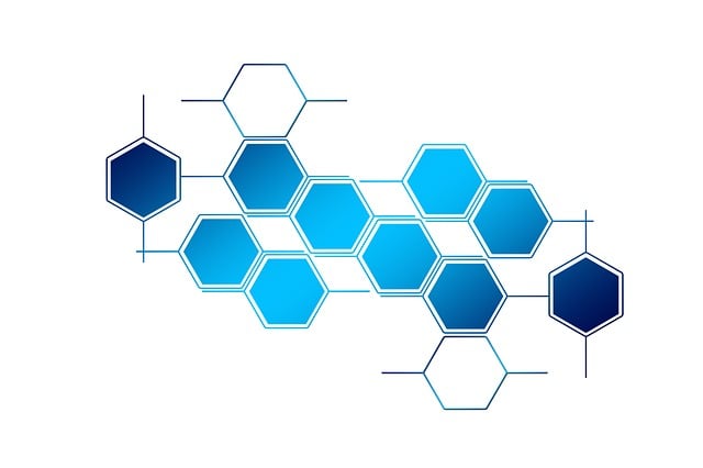 CPA network services