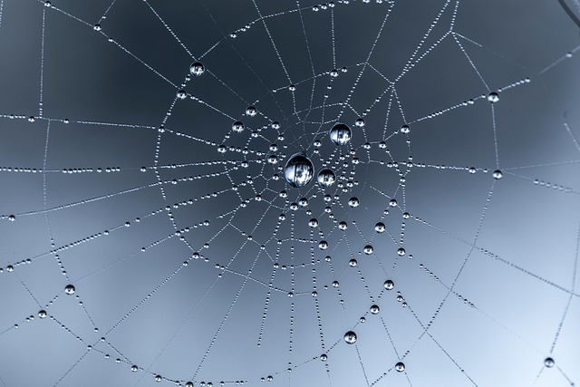 creative web design