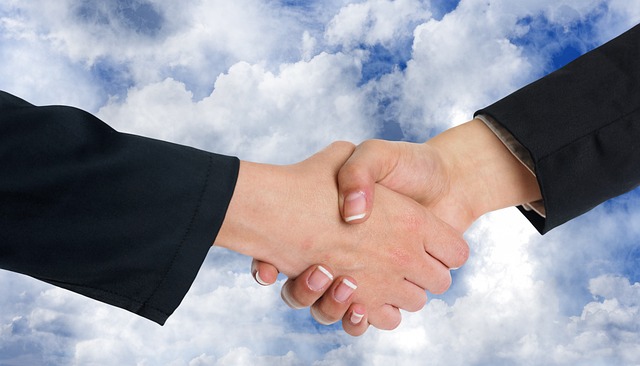 custody negotiation support