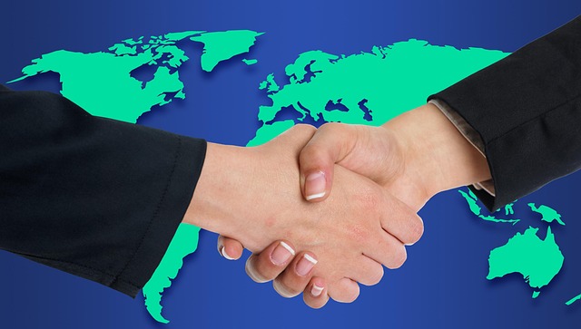 custody negotiation support