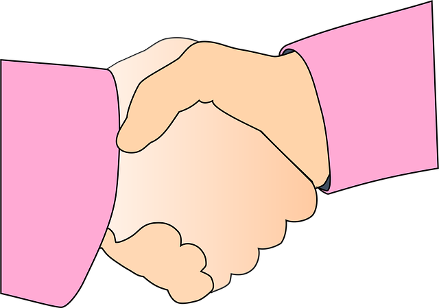 custody negotiation support