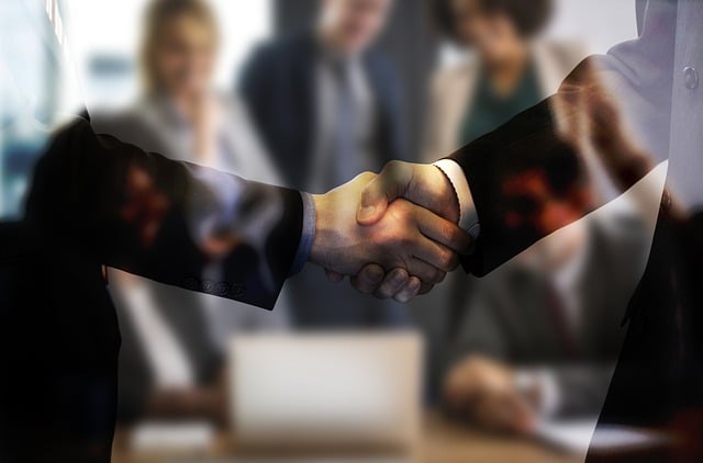 custody negotiation support
