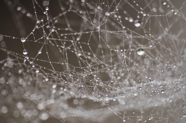 custom web design