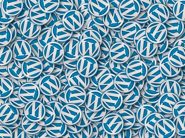 custom website creation
