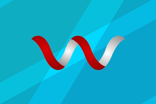 custom website design services