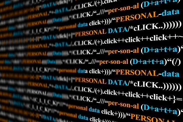 custom website development
