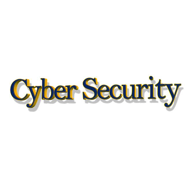 Cyber Insurance