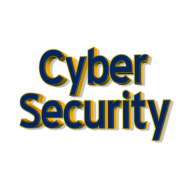 Cyber Insurance