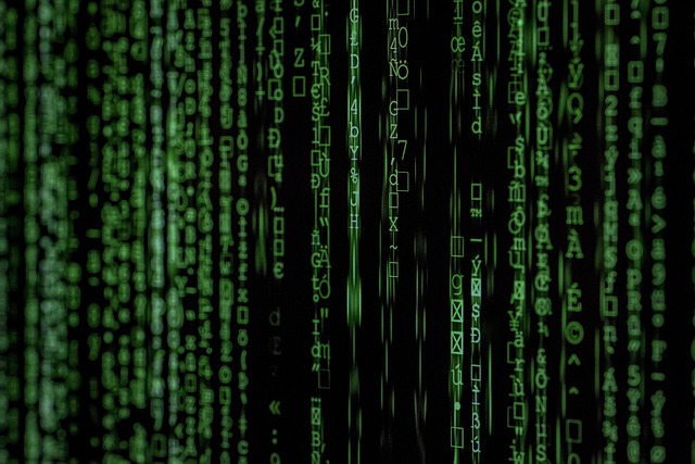 Cyber Insurance for Data Protection