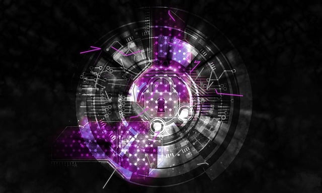 Cyber Insurance for Data Protection