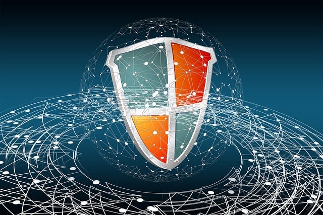 Cyber Insurance for Data Protection