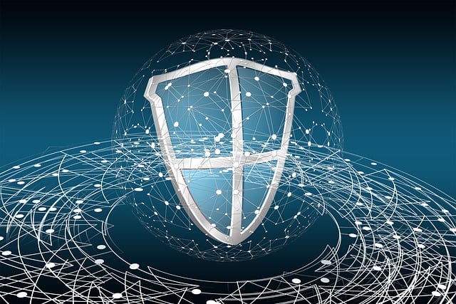 Cyber Insurance for Data Protection