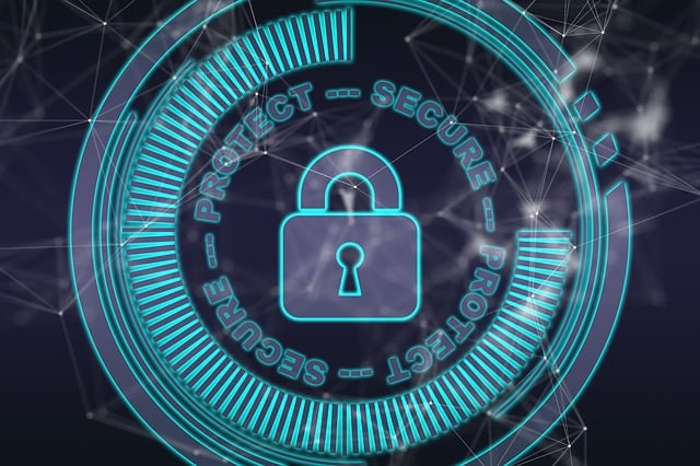 Cyber Insurance for Data Protection