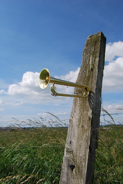 Delta-8 THC Near Me