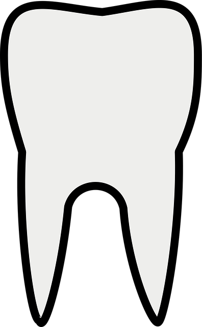 dental call center support