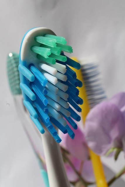 dental liability insurance