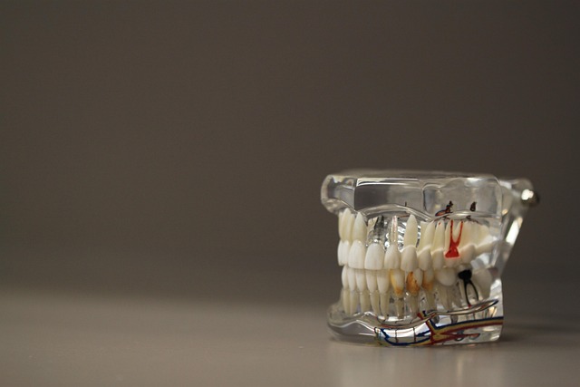 dental malpractice insurance