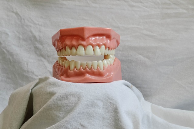 dental receptionist service
