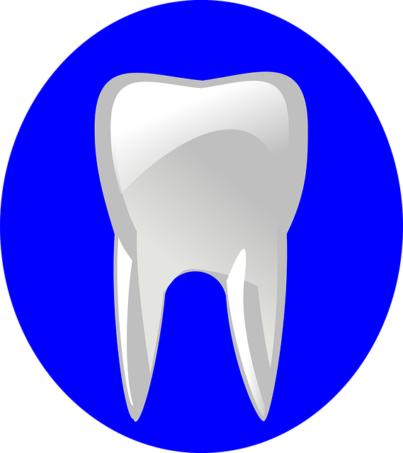 dentist business coverage