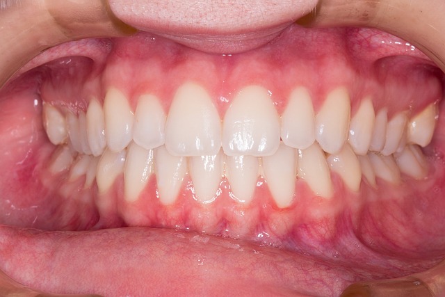 dentist business coverage