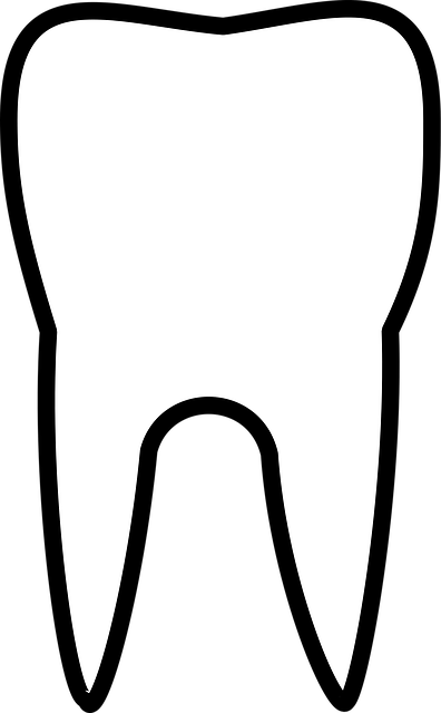 dentist liability coverage