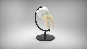 Tailored Liability Insurance for Dentists: Navigating Dental Malpractice Risks