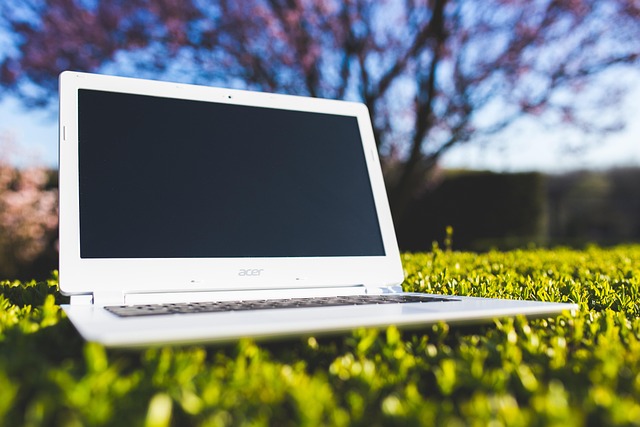digital divorce mediator