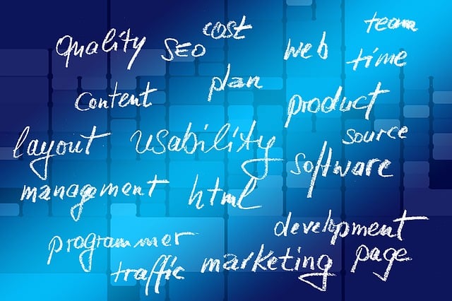 digital marketing certification program