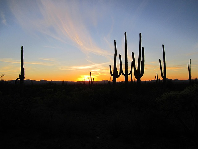 Protecting Arizona Physicians: Comprehensive Business Coverage