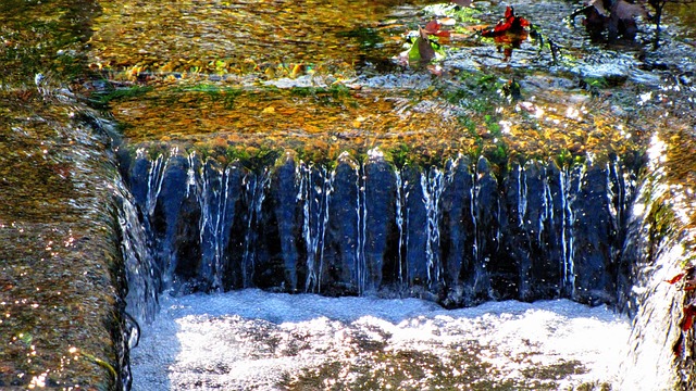 drain cleaning services