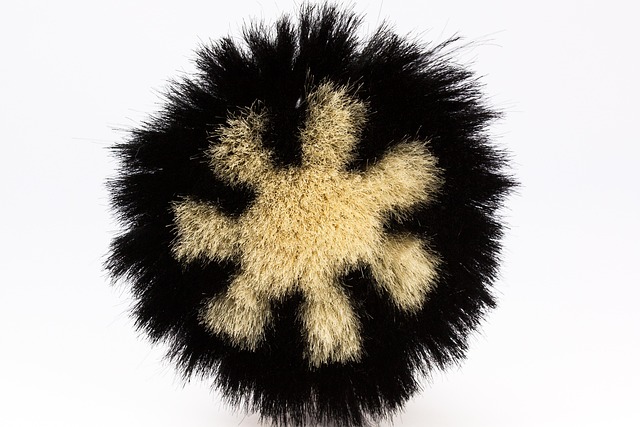 dust mite carpet cleaning