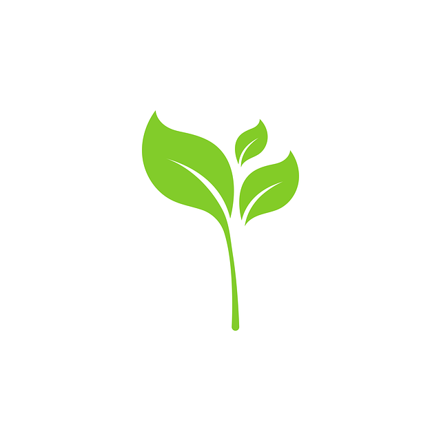 eco carpet cleaning Chandler