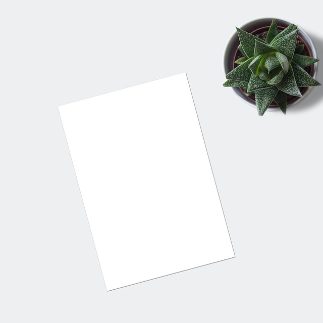 ecommerce website design